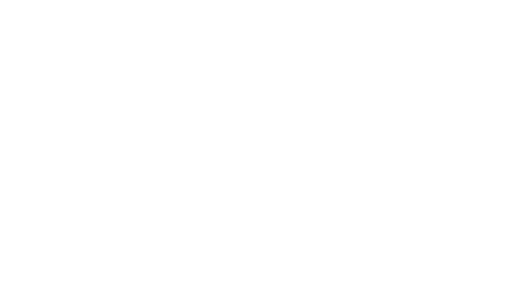 Logo SOAT
